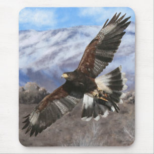 Harris Hawk- pastel Muismat