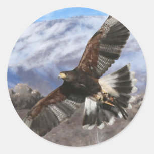 Harris Hawk- pastel Ronde Sticker