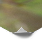 harris hawk poster (Hoek)