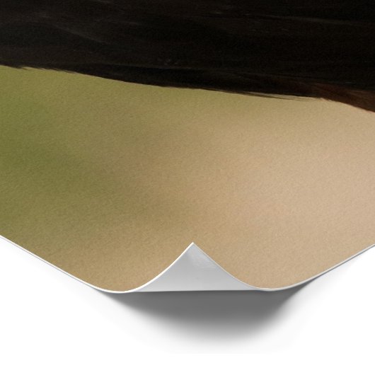 Harris Hawk Poster (Hoek)