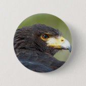 Harris Hawk Ronde Button 5,7 Cm (Voorkant)