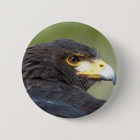 Harris Hawk Ronde Button 5,7 Cm (Voorkant)