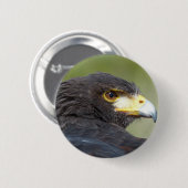 Harris Hawk Ronde Button 5,7 Cm (Voorkant /achterkant)