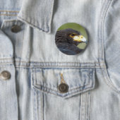 Harris Hawk Ronde Button 5,7 Cm (In situ)