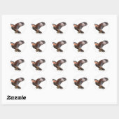Harris Hawk Ronde Sticker (Vel)