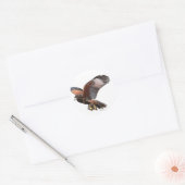 Harris Hawk Ronde Sticker (Envelop)