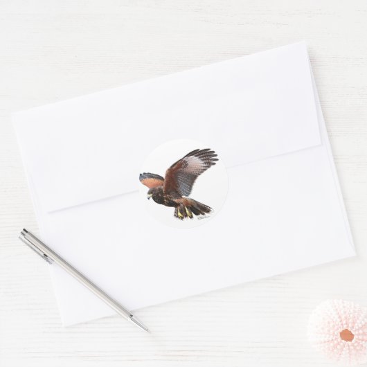 Harris Hawk Ronde Sticker (Envelop)