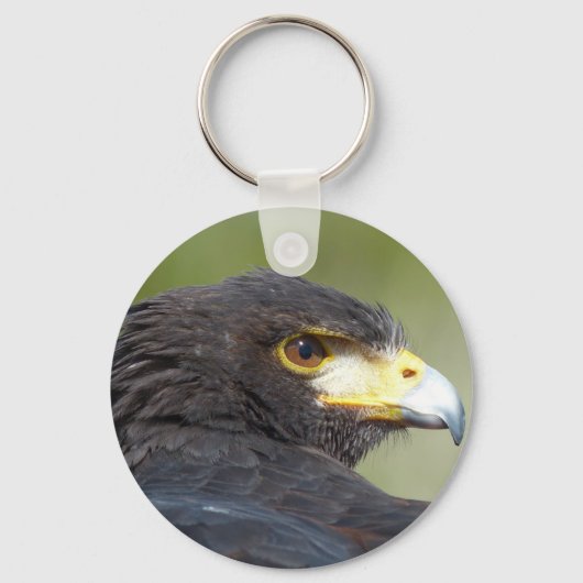 Harris Hawk Sleutelhanger (Voorkant)