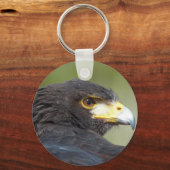 Harris Hawk Sleutelhanger (Voorkant)
