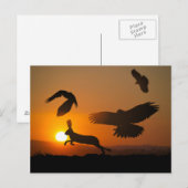 Harris Hawks Briefkaart (Voorkant / Achterkant)