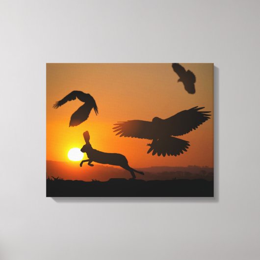 Harris Hawks Canvas Afdruk (Voorkant)