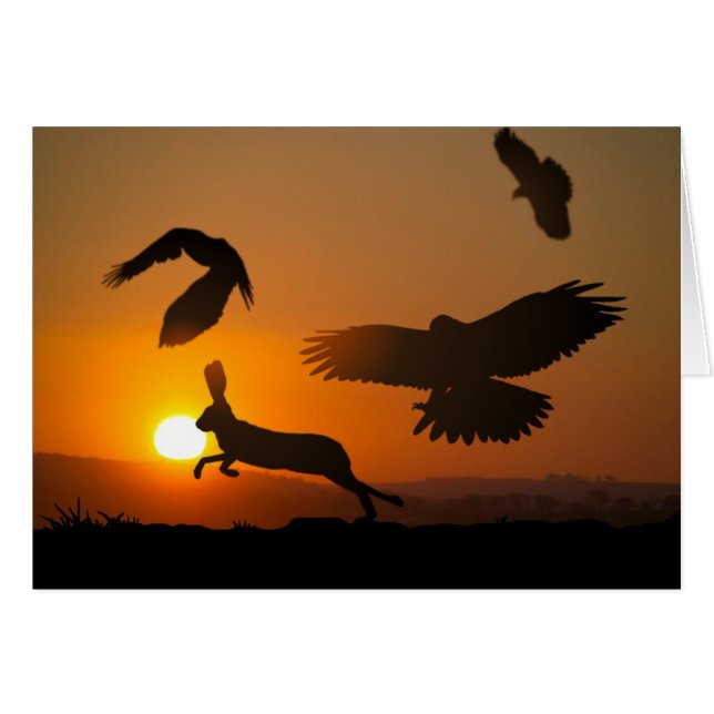 Harris Hawks Hunting Card (Voorkant Horizontaal)