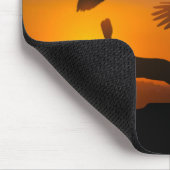 Harris Hawks Hunting Muismat (Hoek)