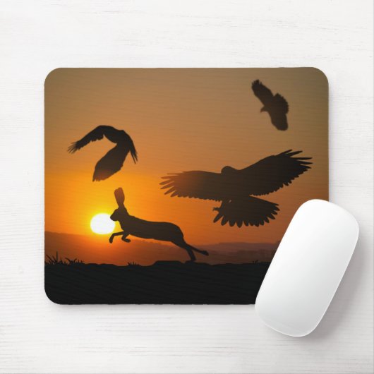 Harris Hawks Hunting Muismat (Met muis)