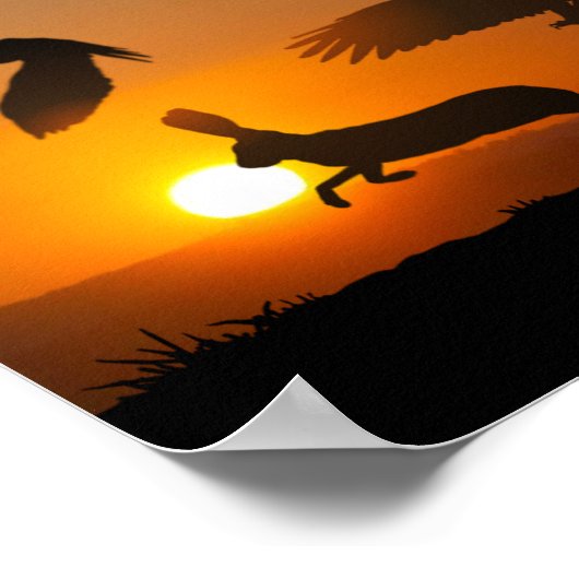 Harris Hawks Hunting Poster (Hoek)