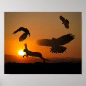 Harris Hawks Hunting Poster (Voorkant)