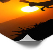 Harris Hawks Hunting Poster (Hoek)