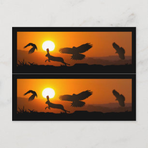 Harris Hawks jachtboekmarkers Briefkaart