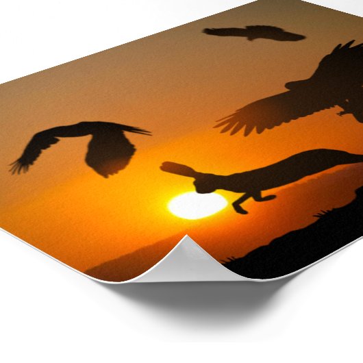 Harris Hawks Poster (Hoek)