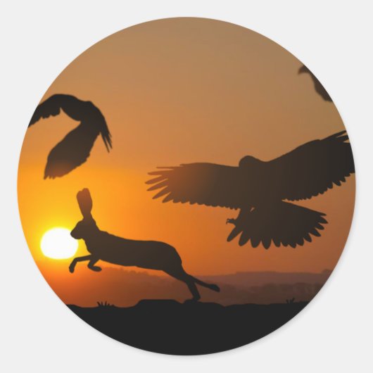 Harris Hawks Ronde Sticker (Voorkant)