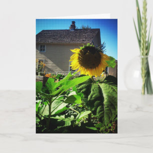 "Harris House Sunflower" Kaart om Beterschap te We