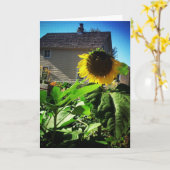 "Harris House Sunflower" Kaart om Beterschap te We (Gele Bloem)