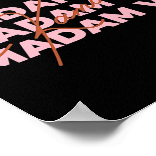 Harris Madam Vice President Feminist Icon VP 2021 Poster (Hoek)