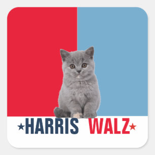 Harris Walz 2024 - Rood Blauw Vierkante Sticker