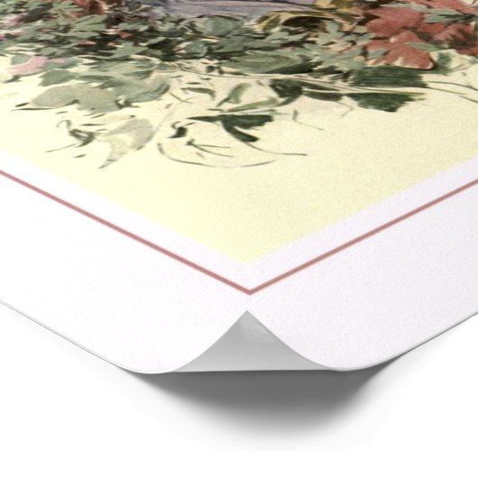 Harrison Fisher Poster (Hoek)