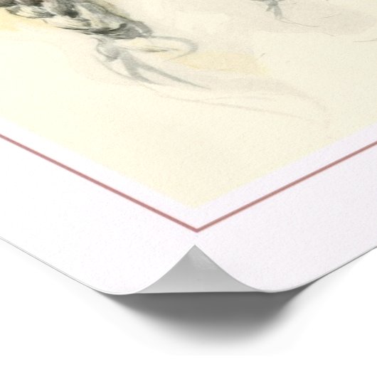 Harrison Fisher Poster (Hoek)