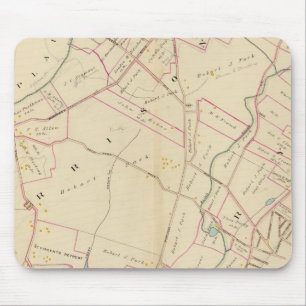 Harrison, Rye, New York Muismat