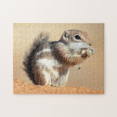 Harris's antelope squirrel (Ammospermophilus) Legpuzzel (Horizontaal)