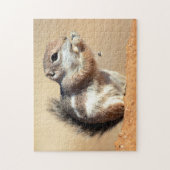 Harris's antelope squirrel (Ammospermophilus) Legpuzzel (Verticaal)