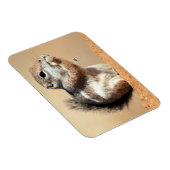 Harris's antelope squirrel (Ammospermophilus) Magneet (Rechterzijde)