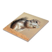 Harris's antelope squirrel (Ammospermophilus) Tegeltje (Zijkant)