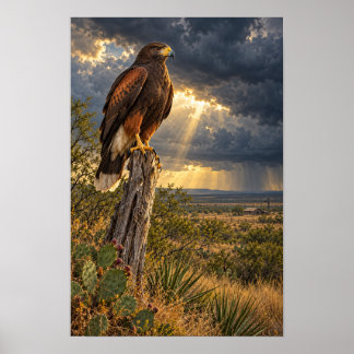 Harris's Havik Onder een Texas Storm Poster