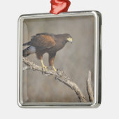 Harris's Hawk-boordverkrachter Metalen Ornament (Links)