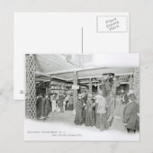 Harrods Provision Department, c.1901 Briefkaart (Voorkant / Achterkant)