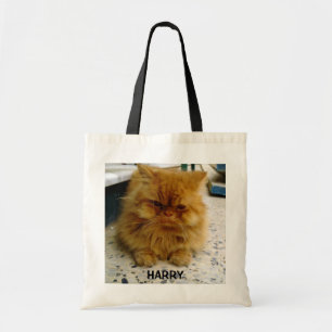 HARRY CANVAS TAS