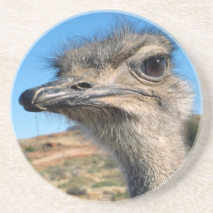 Harry de Gelukkige Struisvogel Zandsteen Onderzetter