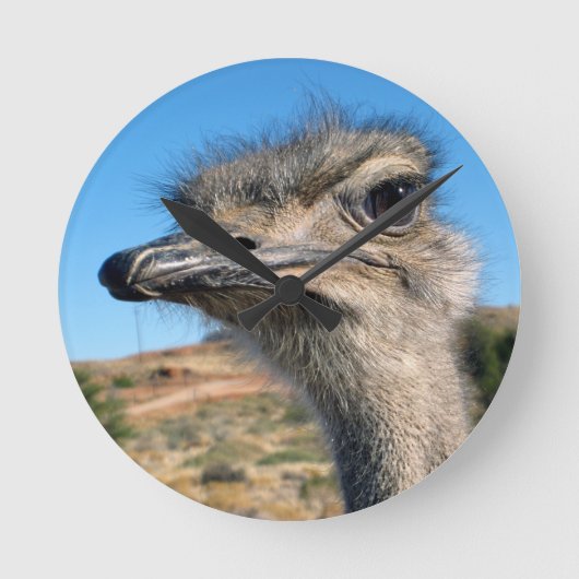 Harry de Happy Ostrich Ronde Klok (Voorkant)