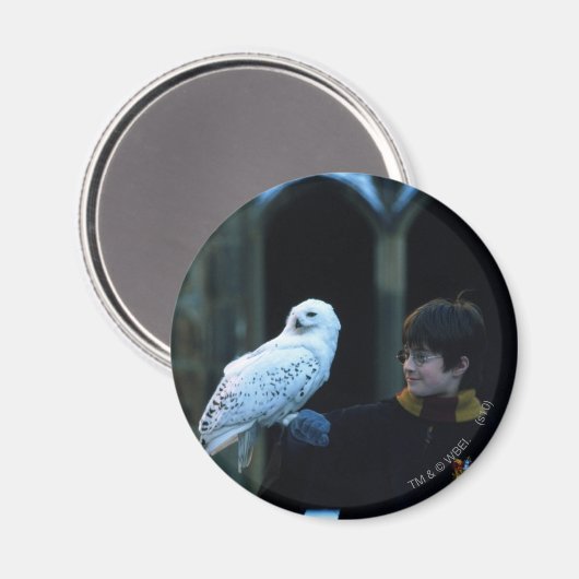 Harry en Hedwig 2 Magneet (Voorkant / Achterkant)