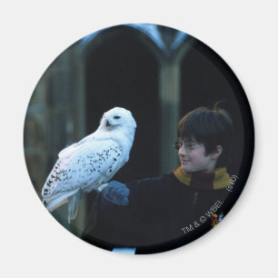 Harry en Hedwig 2 Magneet