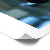 Harry en Hedwig 2 Poster (Hoek)