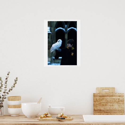 Harry en Hedwig 2 Poster (Keuken)