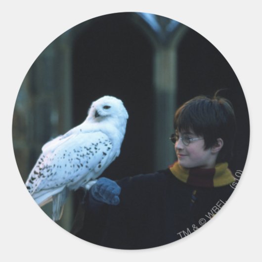 Harry en Hedwig 2 Ronde Sticker (Voorkant)