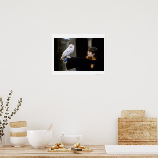 Harry en Hedwig 3 Poster (Keuken)