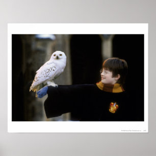 Harry en Hedwig 3 Poster