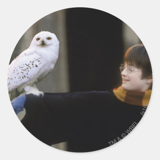 Harry en Hedwig 3 Ronde Sticker (Voorkant)