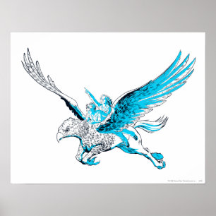 Harry en Hermione op een Hippogriff Poster